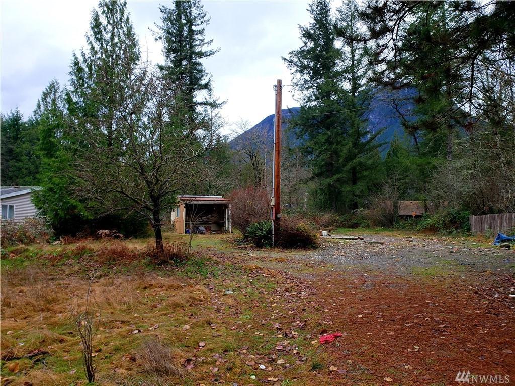 44515 Pine Road - Photo 1