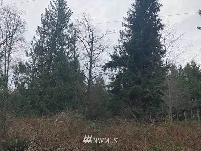 7600 Block 165th Avenue - Photo 1