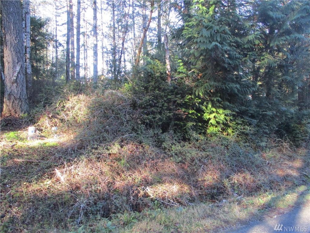 31 Twanoh Falls Dr - Photo 1