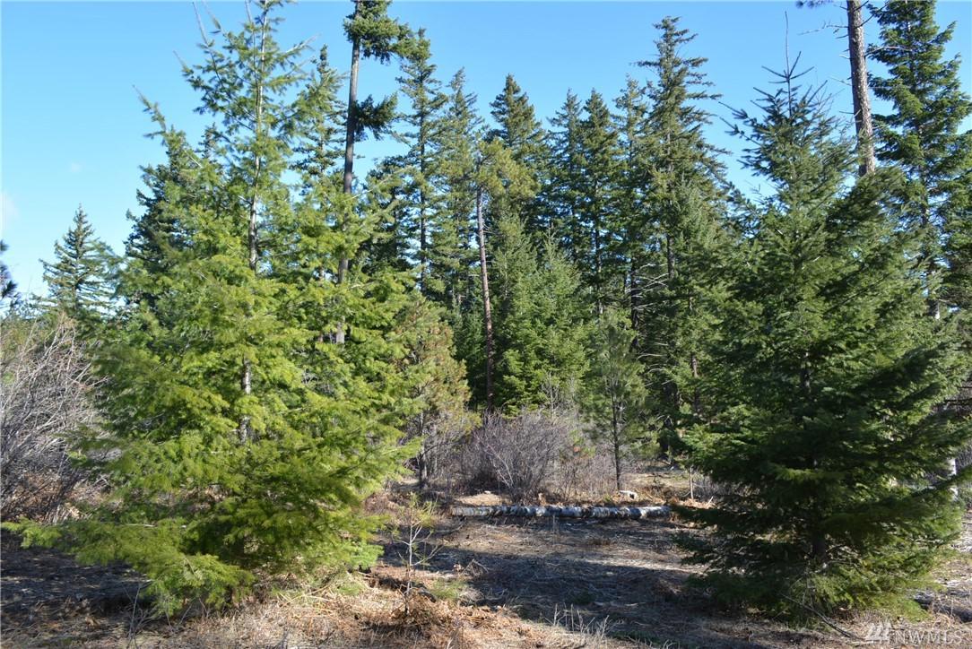 35 Kokanee Lp - Photo 1