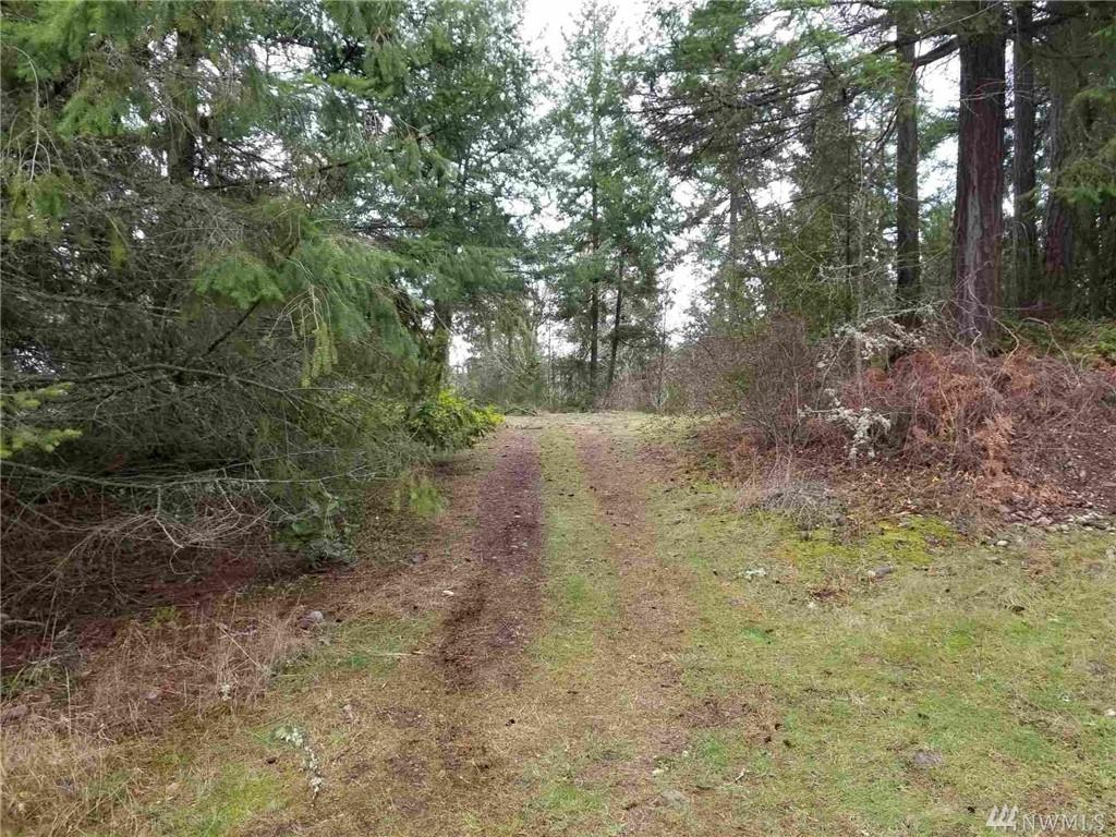 18548 Stagecoach Lane - Photo 1