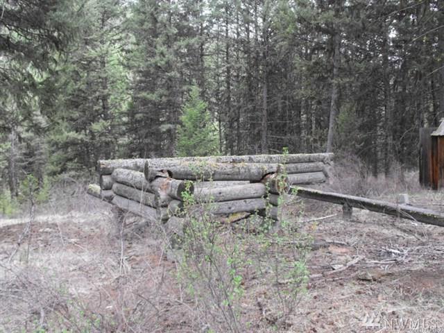 12345 Cougar Creek - Photo 1