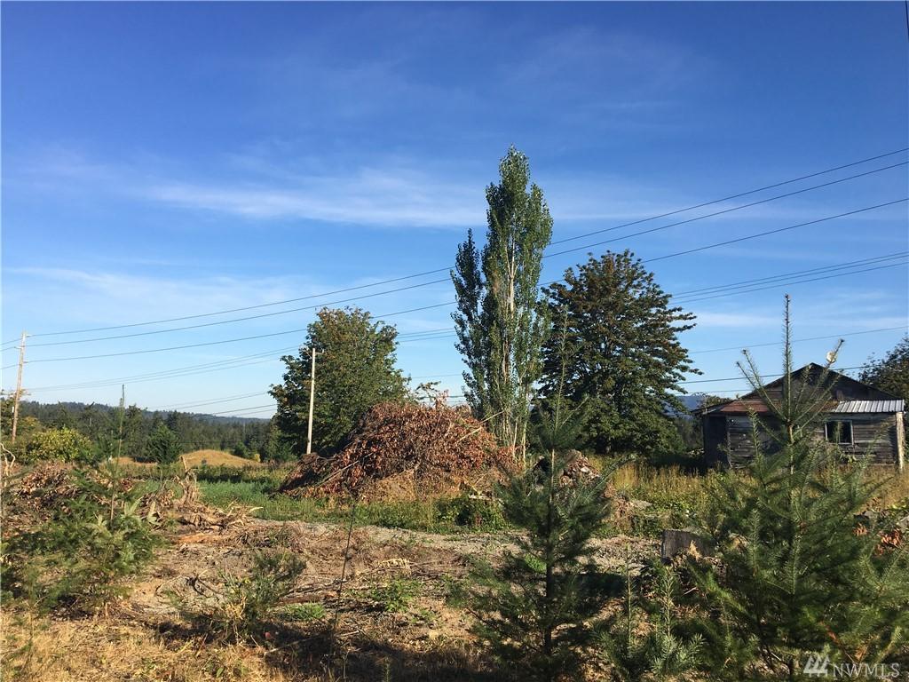 21611 244th Ave - Photo 1