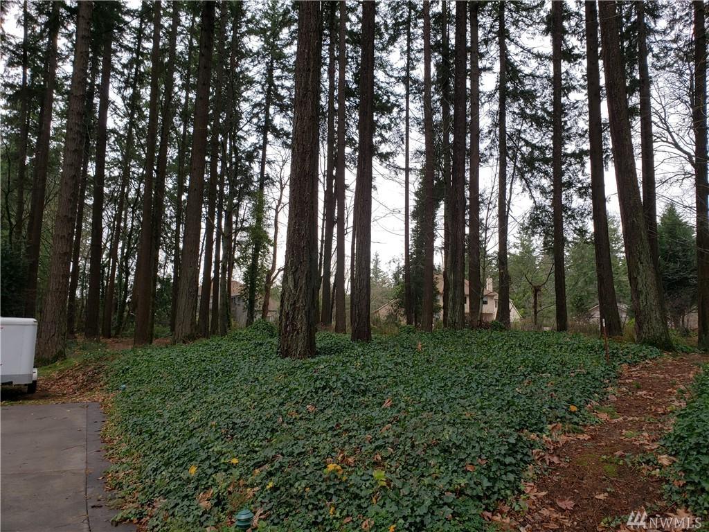 1000 101st Ave - Photo 1
