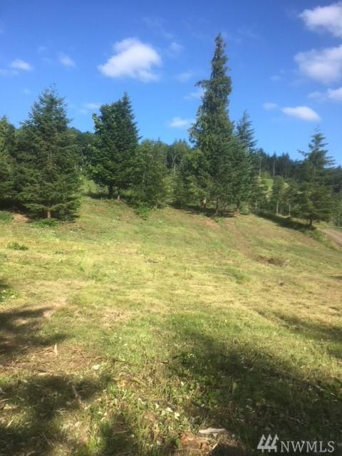 6628 Green Mountain Rd - Photo 1