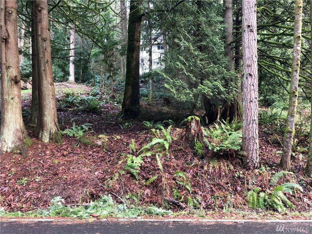 9 Lost Fork - Photo 1