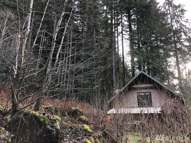 10016 Foss River Rd - Photo 1