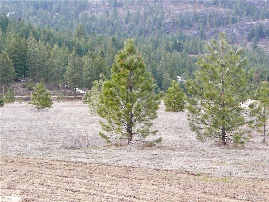 0-Lot 1 Saddle Ridge Rd - Photo 1