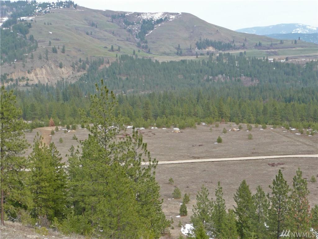 0-Lot 3 Saddle Ridge Rd - Photo 1