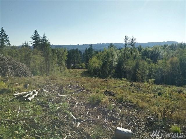 0 Military Rd - Photo 1