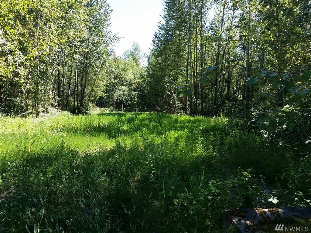 1129 Axton Rd - Photo 1