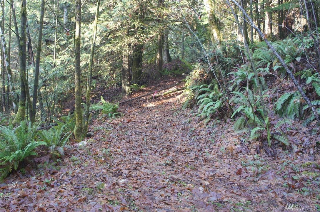 0-NSN Sylvester Lane - Photo 1
