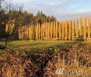 162 Rutherglen Dr - Photo 1