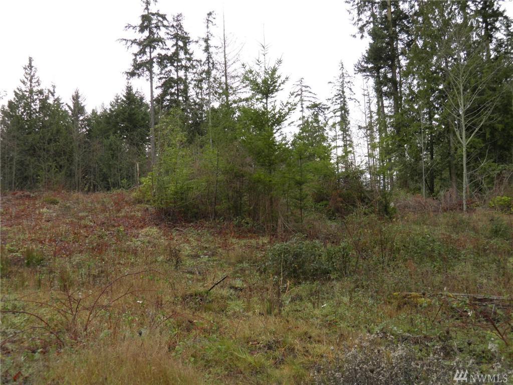 31 Pebble Lane - Photo 1