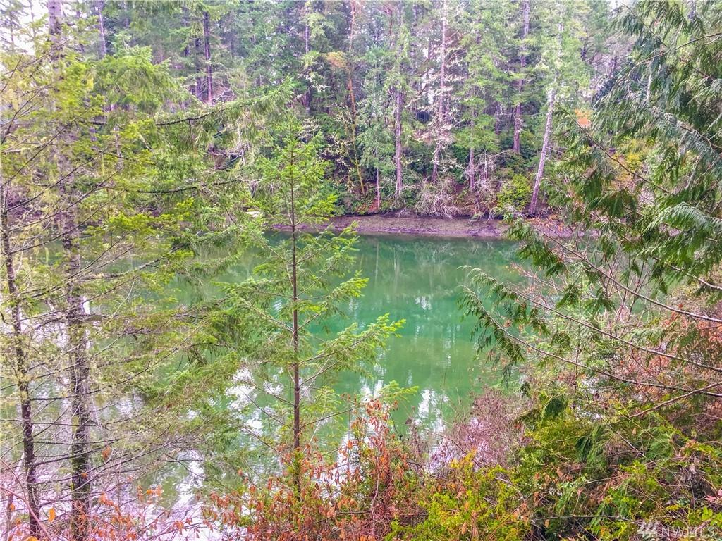 0-Lot21 Madrona Pkwy - Photo 1
