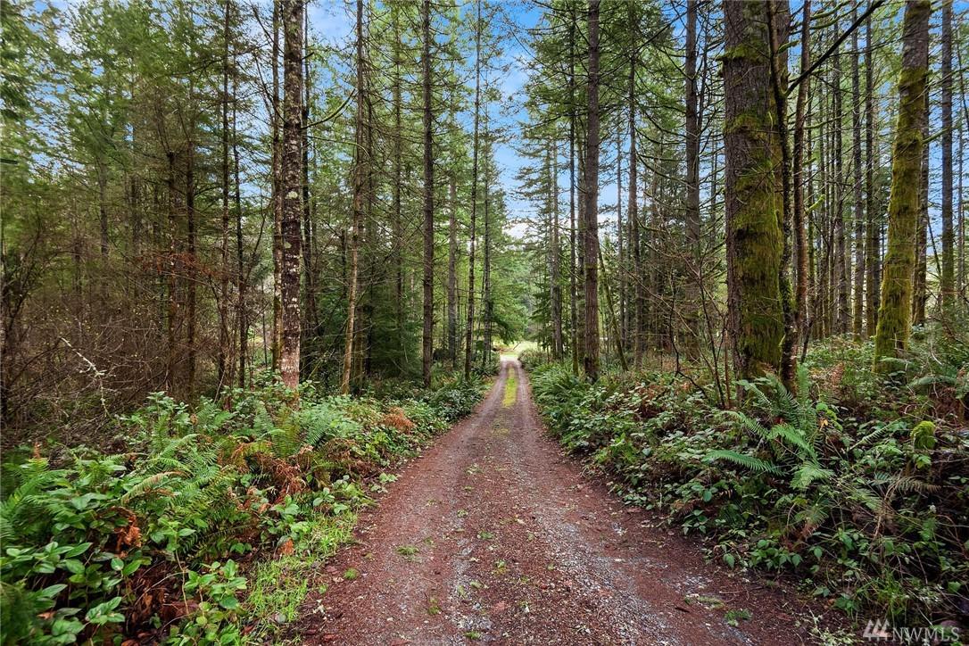 264-XX Duthie Hill Rd - Photo 1