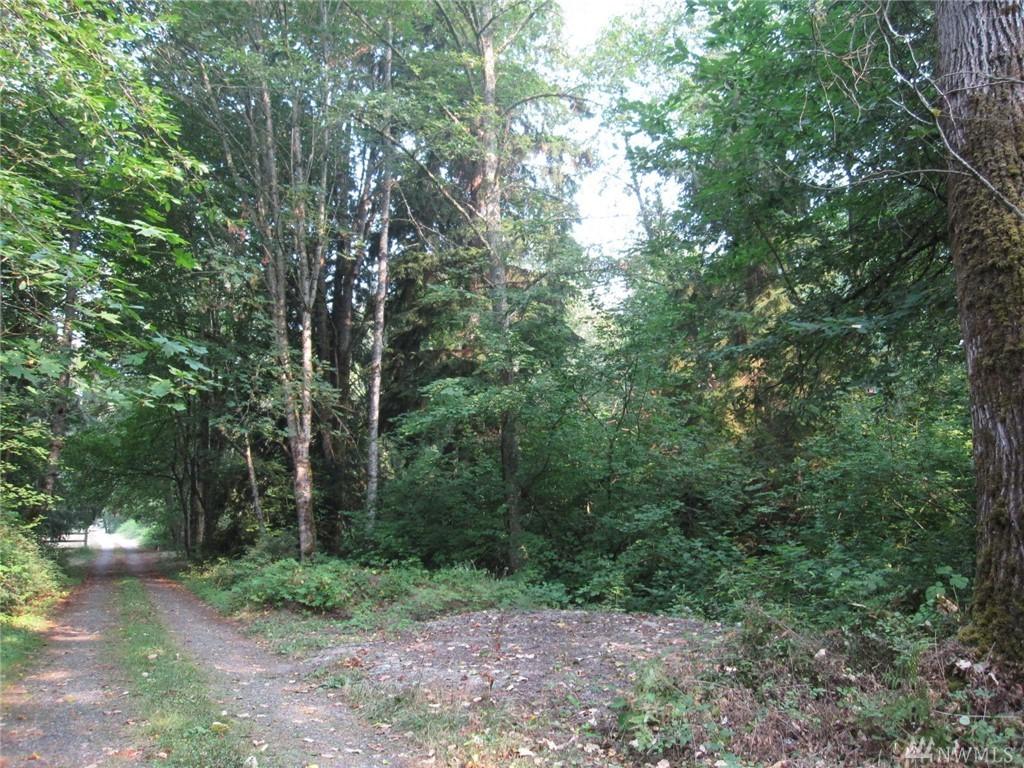 19915 280th Ave - Photo 1