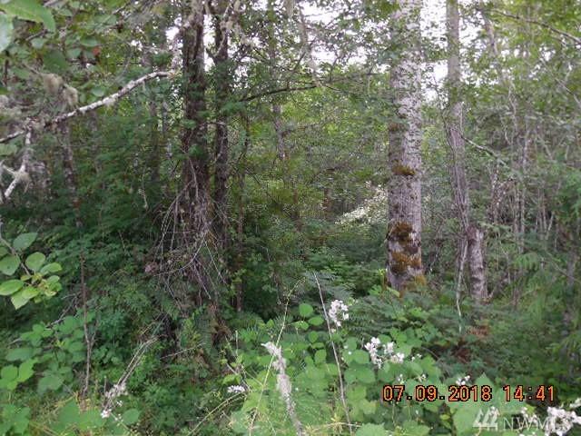 0 Harry Brown Rd - Photo 1