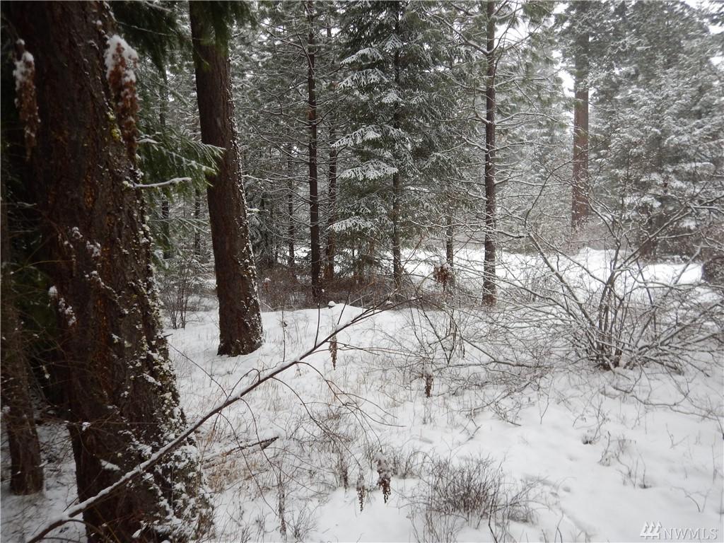 140 Snowberry Lp - Photo 1