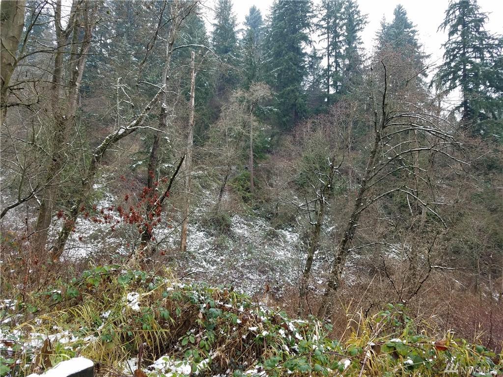 36521 Valley Hwy - Photo 1