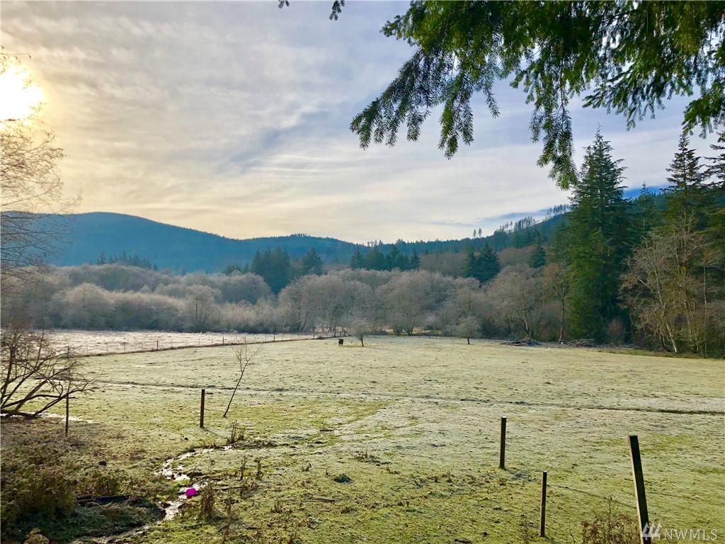 11401 Summit Lake Rd - Photo 1