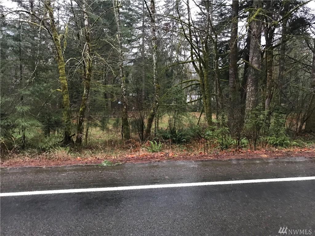 2 Lewis River Rd - Photo 1