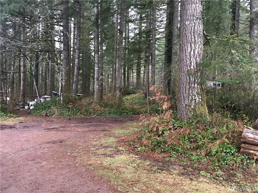 3 Lewis River Rd - Photo 1