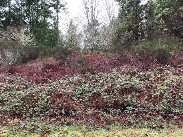9309 72nd Ave - Photo 1