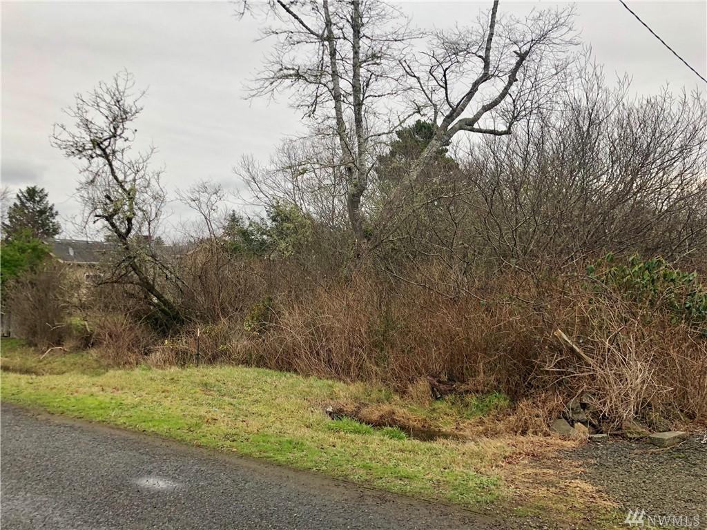 1-xxx Hoquiam Lane - Photo 1