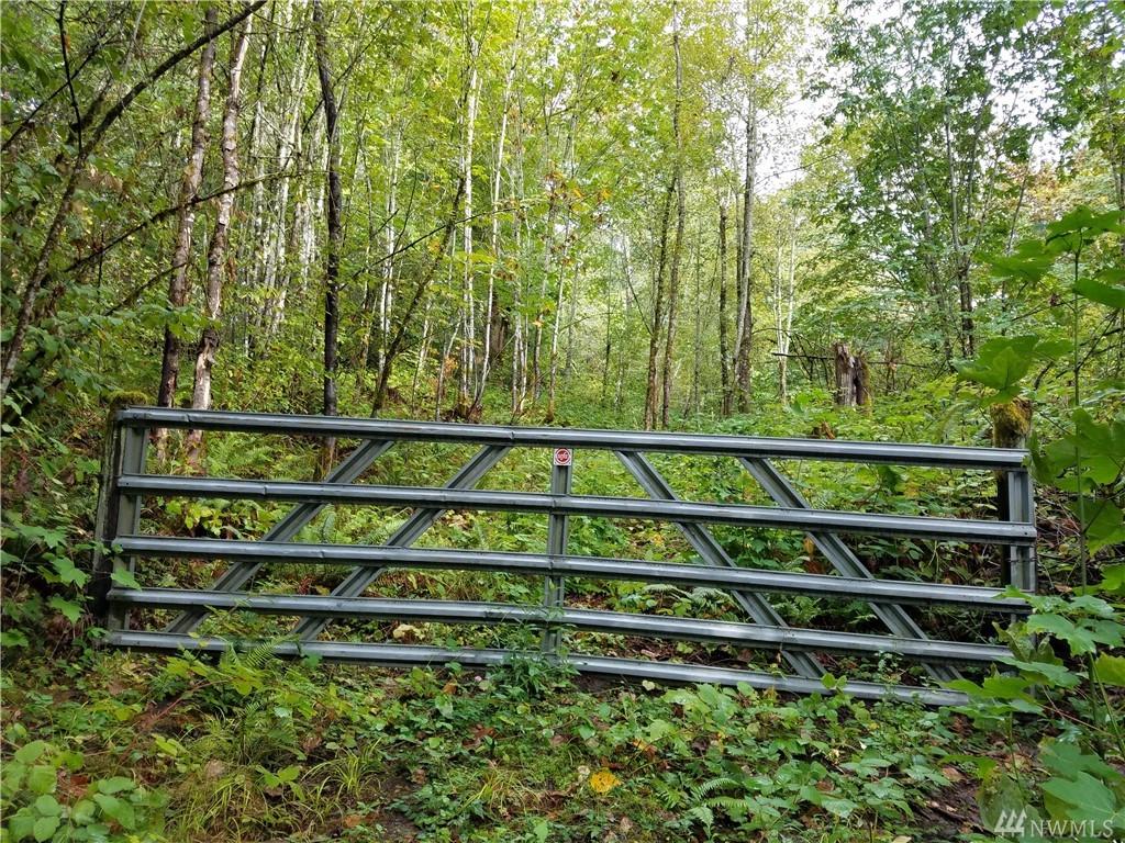 21500 196th Ave - Photo 1