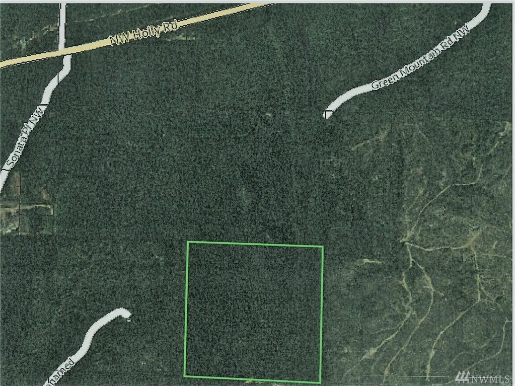 0-x 40 Ac Green Mountain Rd - Photo 1