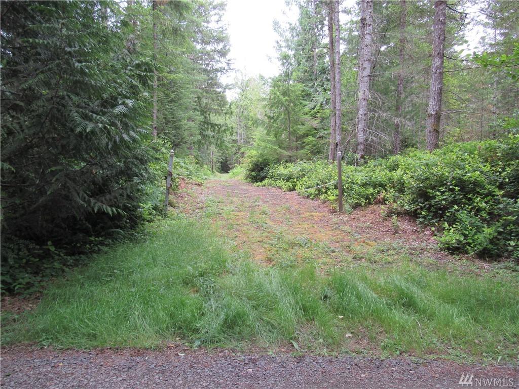 5-.24acres Morning Star Lane - Photo 1