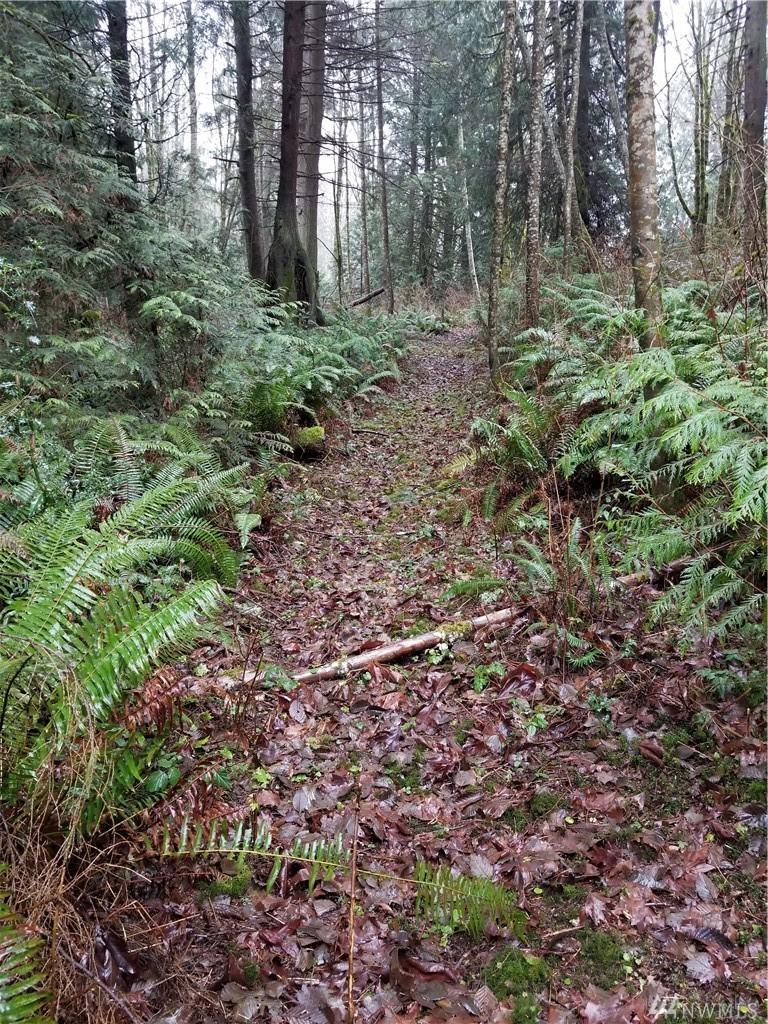 7338 State Hwy 104 - Photo 1
