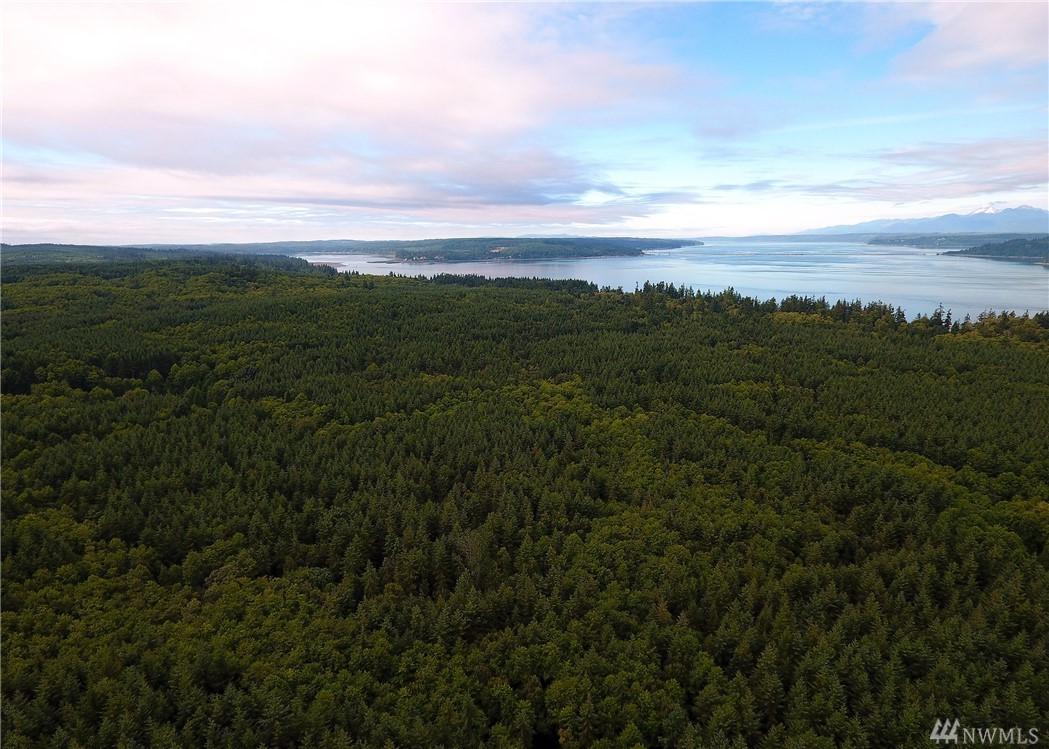 0 Tamarack Dr - Photo 1