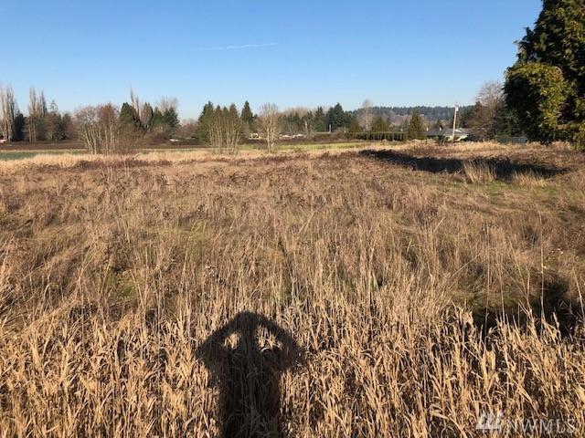 7813 Levee - Photo 1