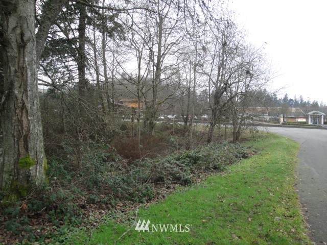 0 Lot D State Hwy 303 - Photo 1
