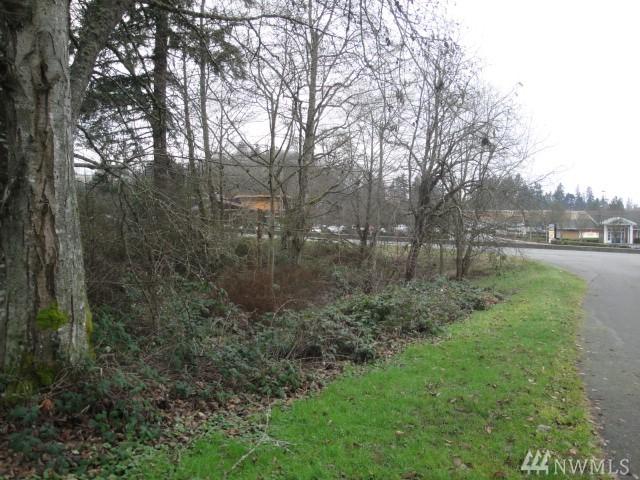 0 Lot D State Hwy 303 - Photo 1