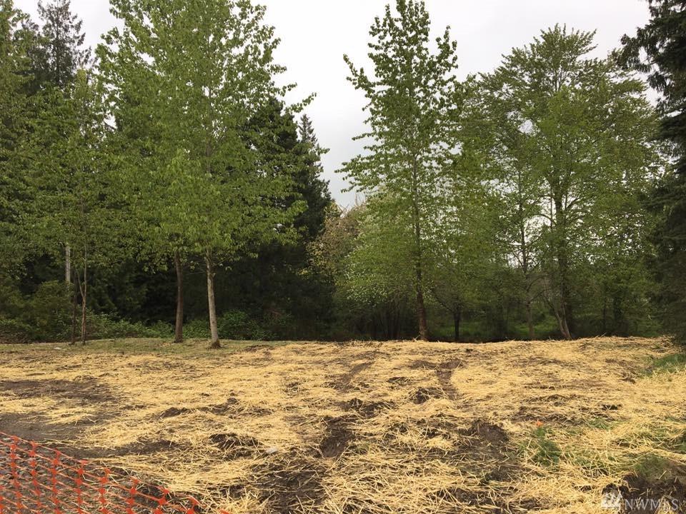 29006 Military Rd - Photo 1