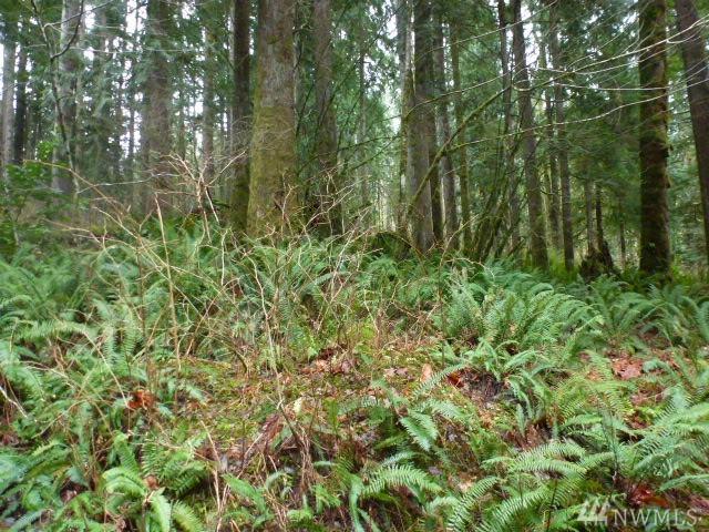 51818 Riverside Rd - Photo 1