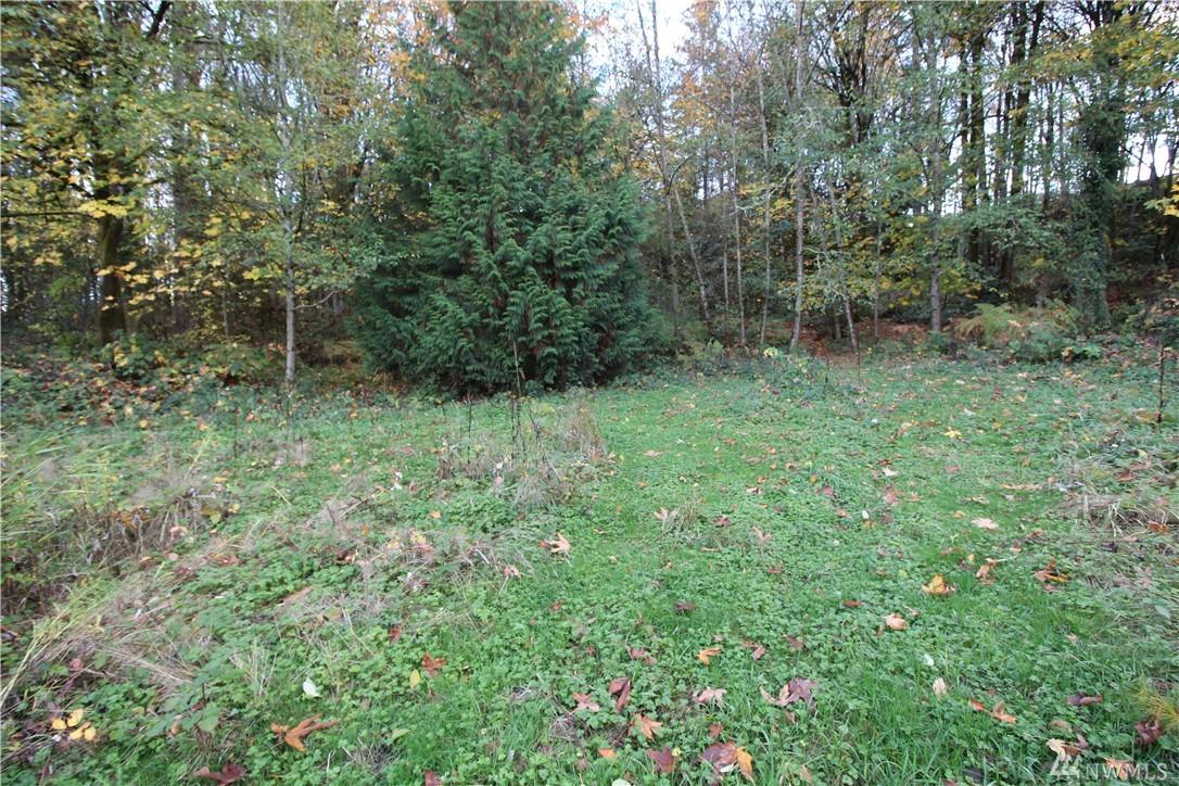 1-XXX Sr 16 Hwy - Photo 1