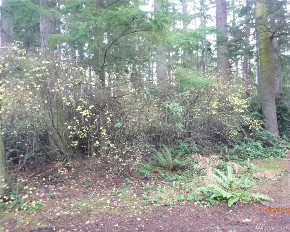 0 Rosewood Ct - Photo 1