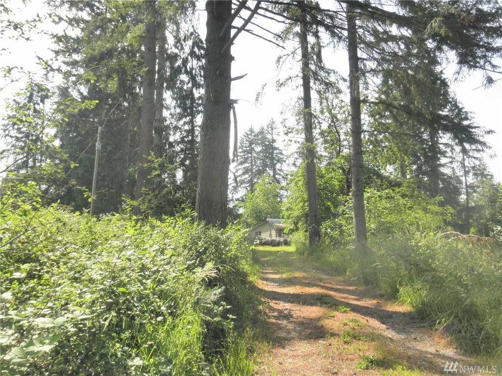 38512 Mountain Hwy - Photo 1