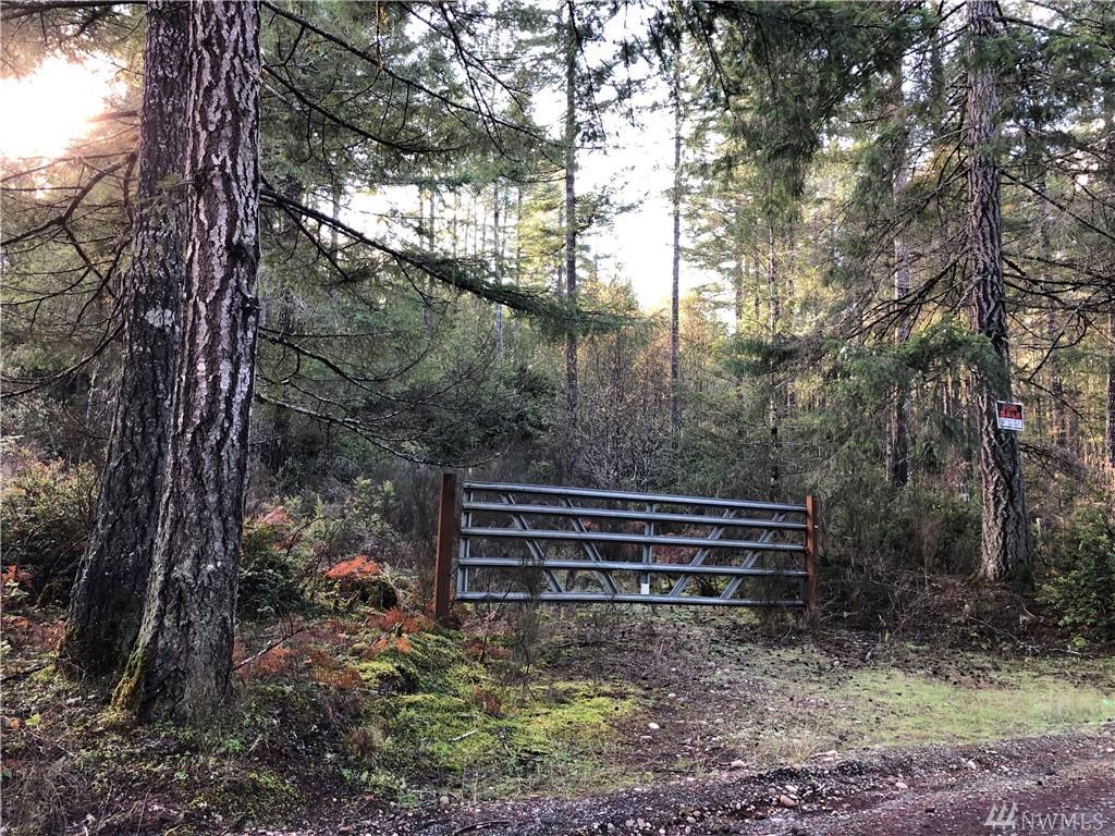 490 Pinedirosa Rd - Photo 1
