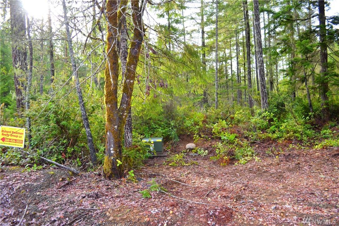 231 Blackberry Lane - Photo 1