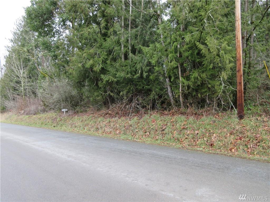 40501 Ski Park Rd - Photo 1