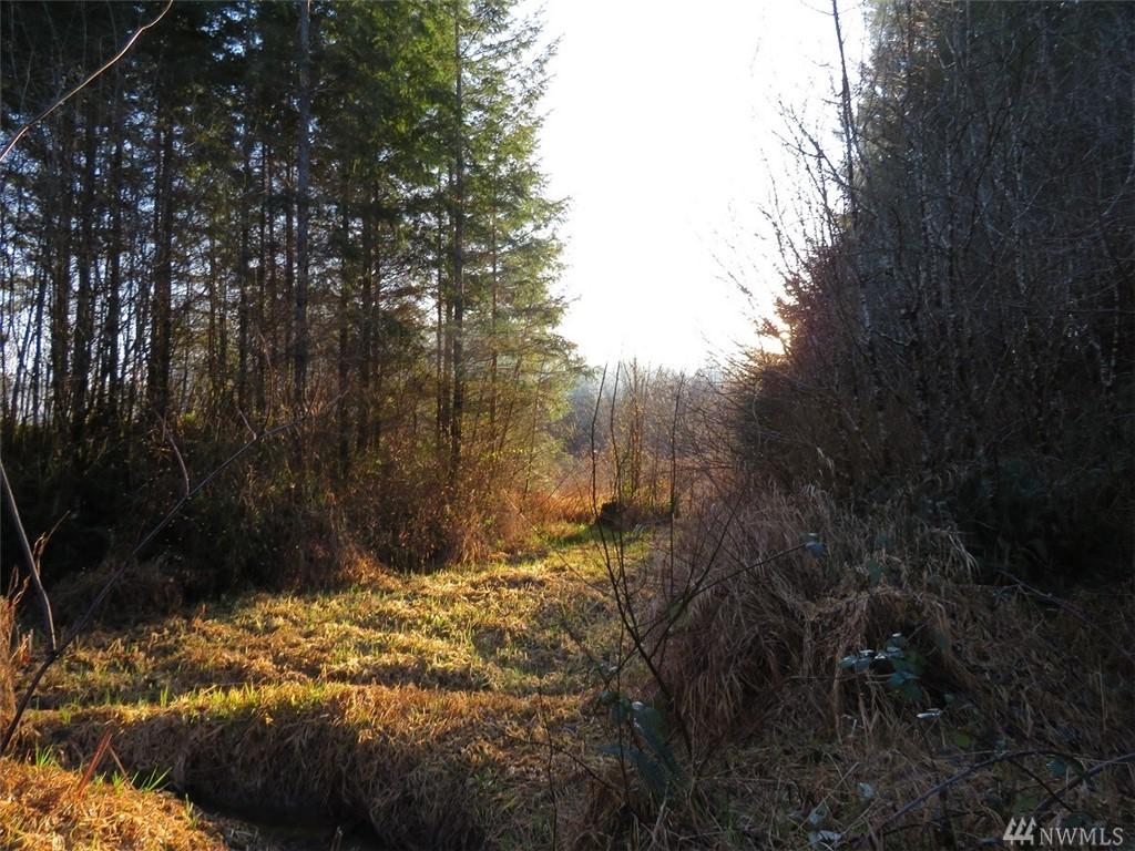 0-XXX Hokanson Rd - Photo 1