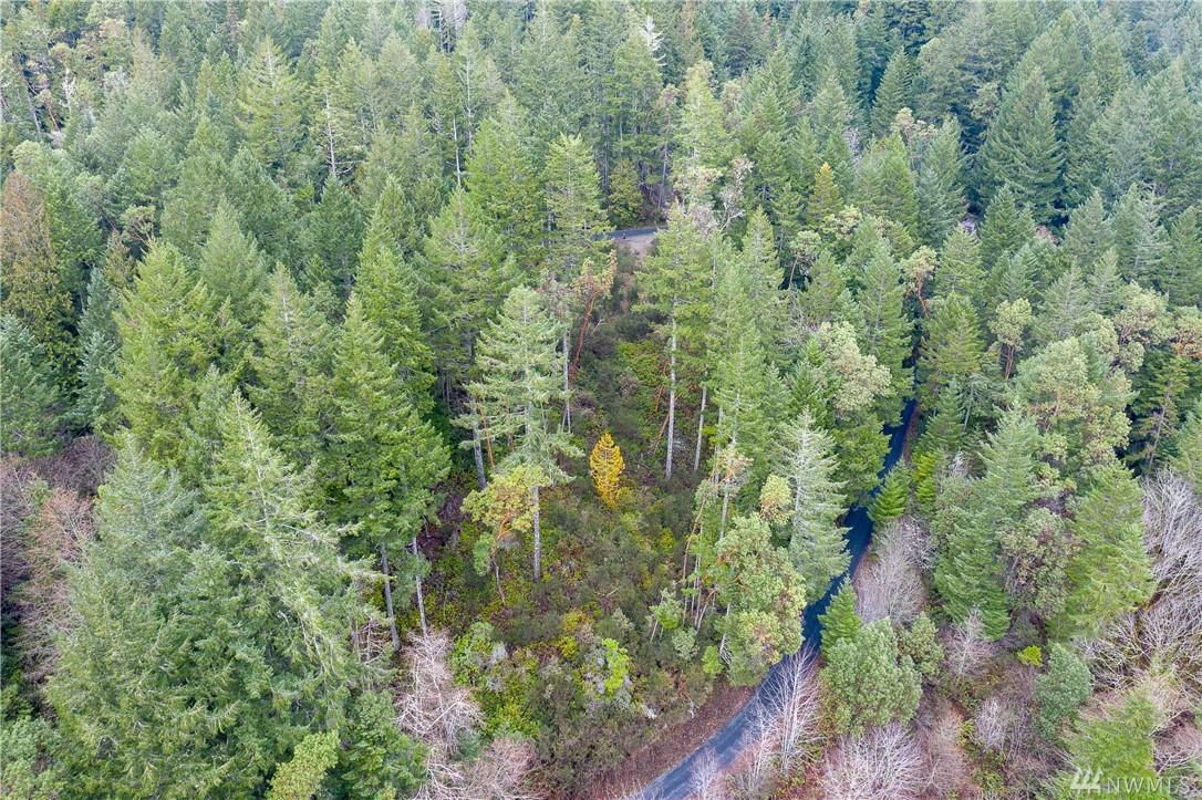 0 Will Webb Rd - Photo 1