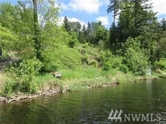 40406 Ski Park Rd - Photo 1