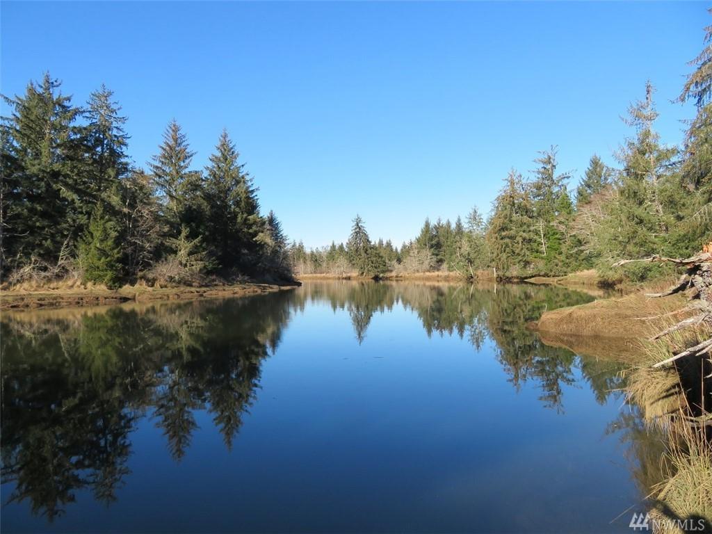 0-XXX Hoquiam Rd - Photo 1