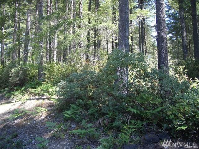 361 Emerald Lake Dr - Photo 1